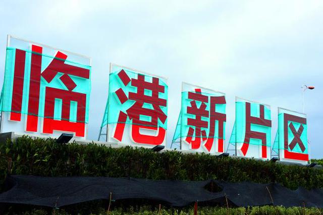 朱芝松：推动临港新片区成为“面向亚太的国际枢纽城市”