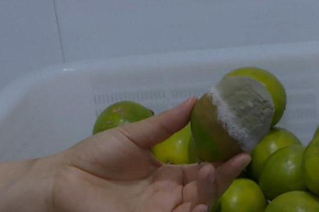 江苏淮安市监局查到一CoCo奶茶店有霉变水果