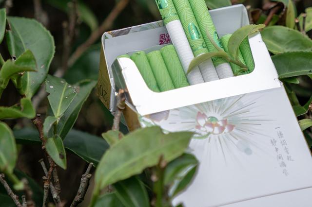 南京警方捣毁一非法售卖“烟弹”团伙