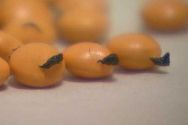 9月至10月江苏开展家庭过期药品回收