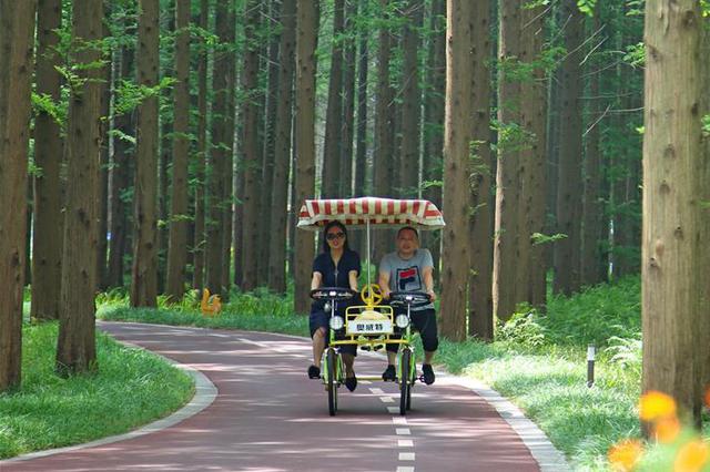 江苏东台市接轨上海 5天签39个项目计划投资102亿元