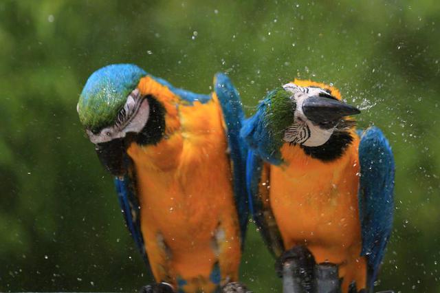 江苏省消保委约谈264家景区 含红山森林动物园