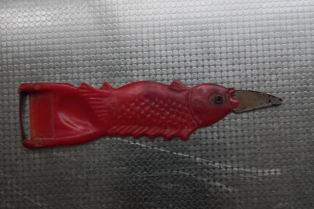 男子持刀砸门遭退伍女兵"反杀" 村民称人人都怕他