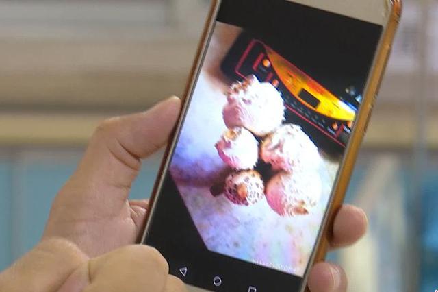 10岁男童吃蘑菇中毒致肝衰竭 母亲割肝救子