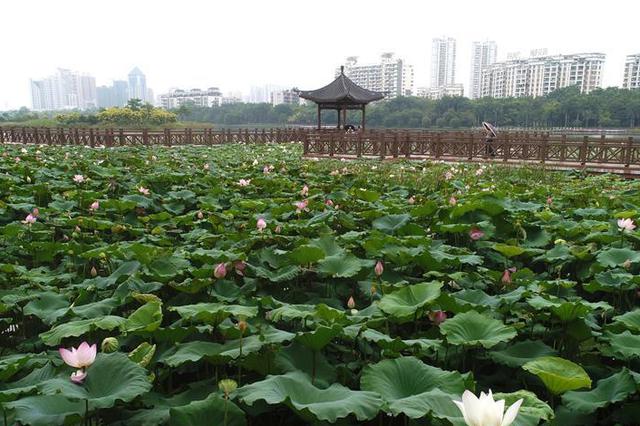 中秋夜里 雨水到访江苏（附江苏天气预报）