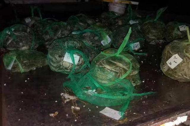 货车穿桥洞车厢撞落 500多斤螃蟹散落一地“大逃亡”