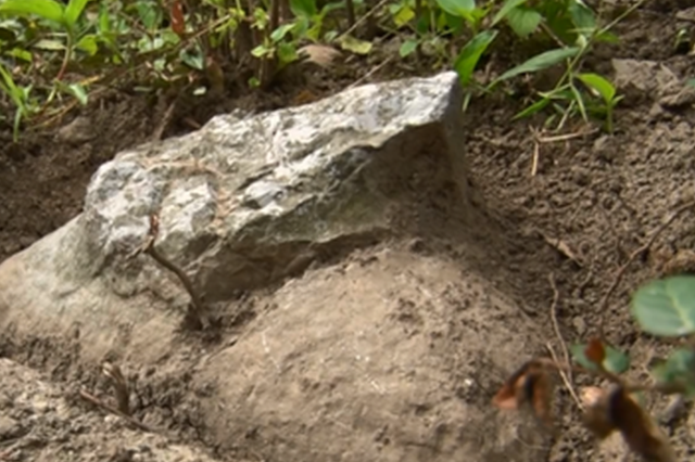 江宁玉米地旁发现石刻 初步判定属于明代陵墓神道