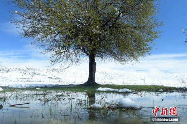 您的秋天已到货 今年最强冷空气今天抵达江苏