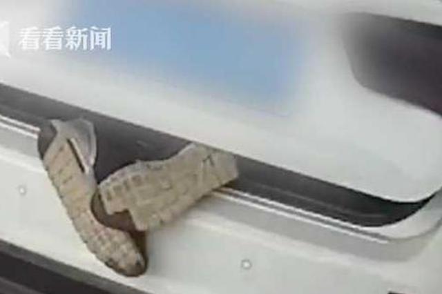 轿车后备箱伸出两只脚 交警拦下一看惊呆了