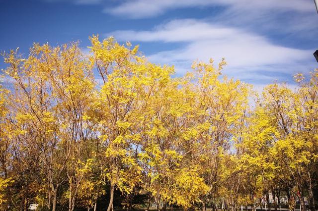 昼夜温差加大 又到“乱穿衣”的日子！