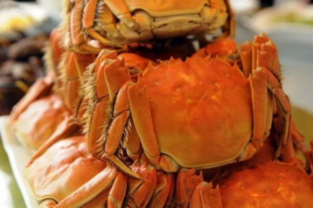 阳澄湖大闸蟹正式开捕啦！