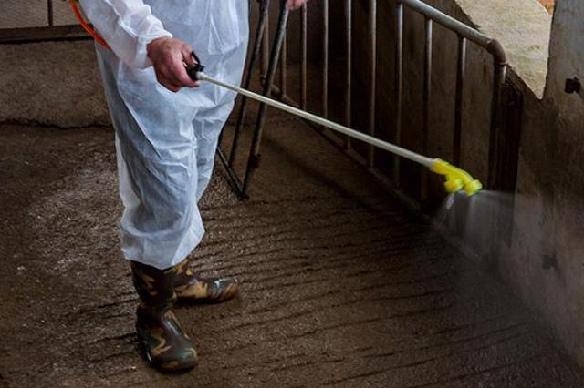 中国又一省排查出非洲猪瘟疫情 发病2头、死亡2头