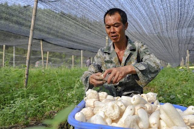 江苏省新增19家全国“一村一品”示范村镇