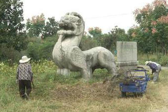 南朝石刻被盗拓追踪：带队老师称“不知是违法”