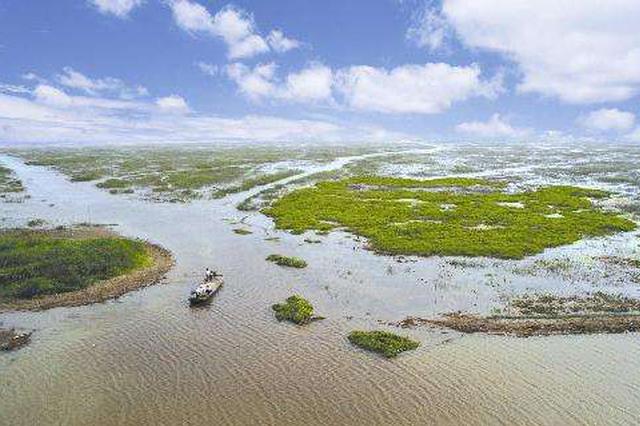 降雨、来水同时偏少！江苏发布洪泽湖枯水蓝色预警