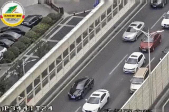 “慌张”小狗，在线逆行！铁骑：我太难了......