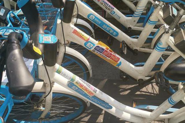 共享单车成小广告新阵地 张贴者：合不合法碍你啥事？