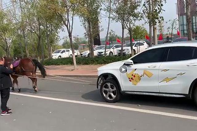 山东一男子马拉汽车维权 4S店：与汽车质量无关联