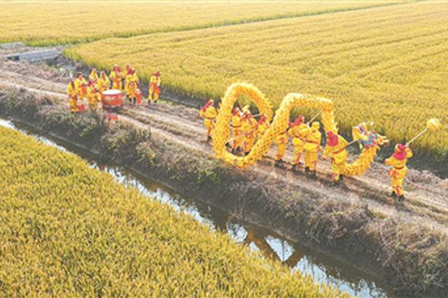 图文：泗洪锣鼓之乡喜庆丰收