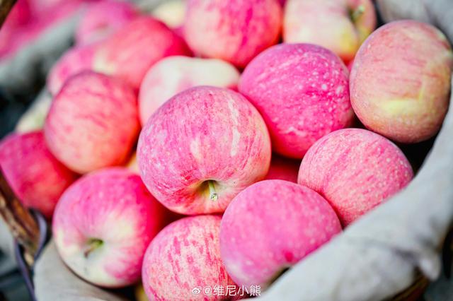 南京苹果“平价”了 平均价格降幅达七成