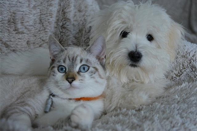 霜降了为什么还那么热？别急！周日江苏最低气温只有……