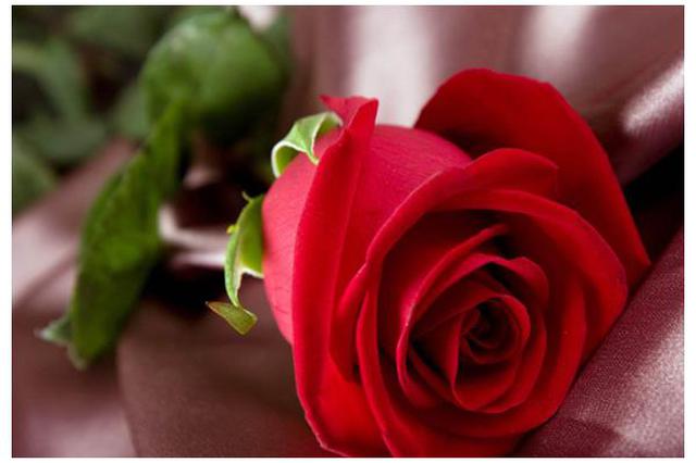 199元买的“恋爱保险” 三年过去了真能获赔吗？