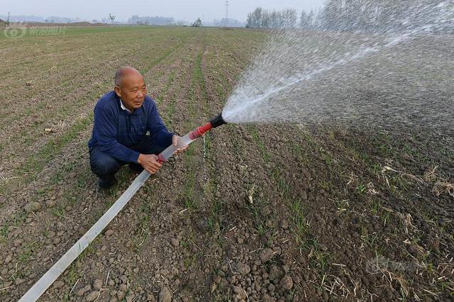 安徽抗旱应急响应等级提升至Ⅲ级
