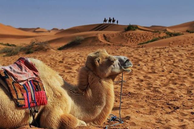 腾格里沙漠再现大面积污染物？生态环境部派组调查