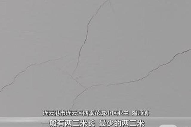楼板裂缝似蜘蛛网 开发商：可能是装修压的