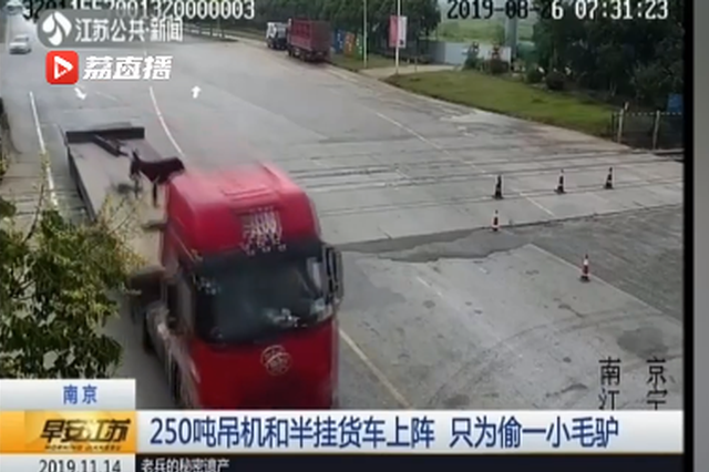 货车司机用250吨吊机偷一只小毛驴：天上龙肉地上驴肉 想尝尝