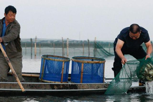 央视曝光！阳澄湖被质疑“蟹污染” 苏州即日部署全面整改