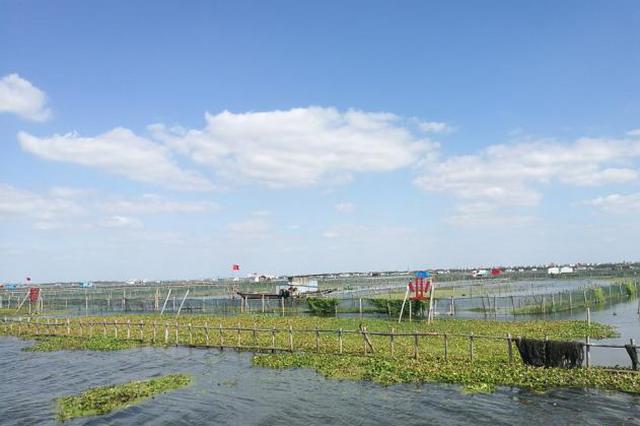 苏州阳澄湖边71家无证无照农家乐被查封