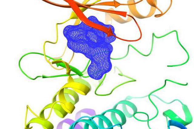 零突破！中国抗癌新药“泽布替尼”在美获批上市
