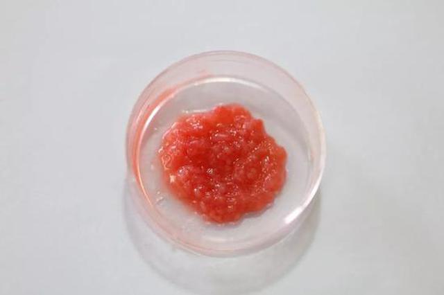 南京农业大学国家肉品中心：中国第一块人造培养肉诞生