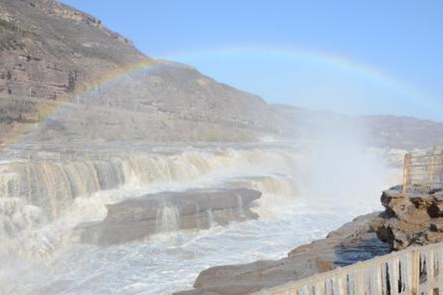 腌咸菜 储藏大白菜 你家乡的小雪节气怎么过？