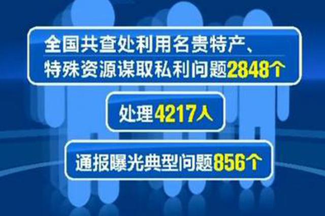 处理4217人 中纪委就此事通报《新闻联播》再点名