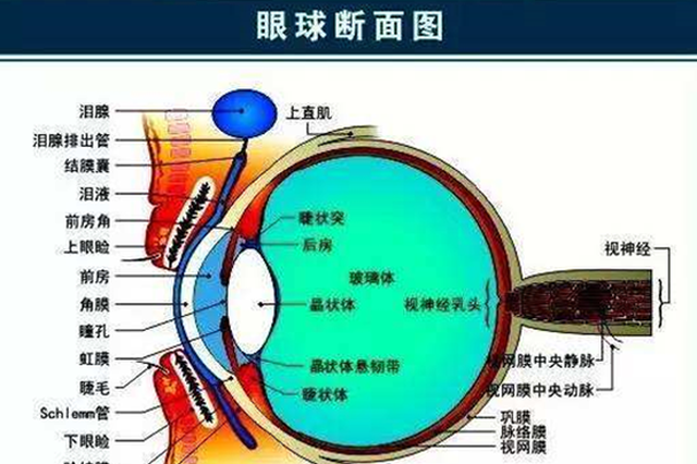 眼科专家谈"女童眼睛被塞几十张纸片":不可能的事