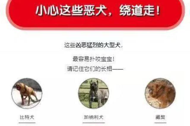 9岁女童上学被狗咬死 律师：狗主人或将被判刑