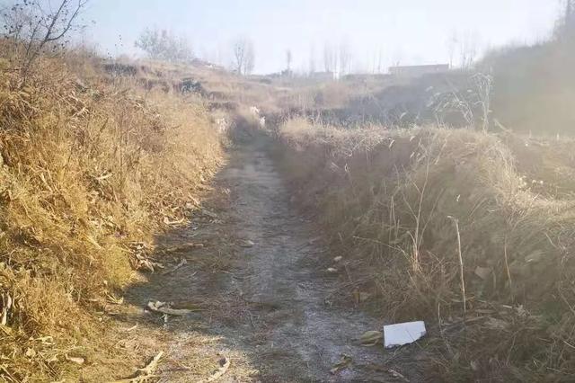 9岁女童上学途中被恶犬咬死续 官方：养犬者已赔偿