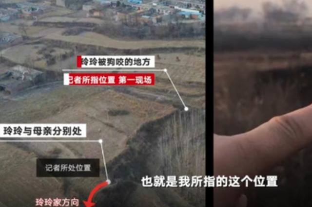 9岁女童被2只恶犬咬死 家属获赔50万元后双方私了