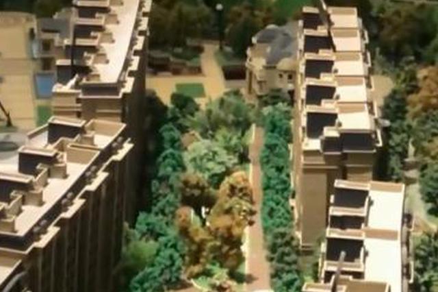 南京一小区绿化缩水 工作人员：红烧牛肉面也没牛肉