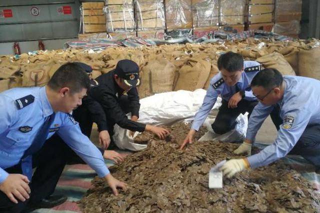 特大走私穿山甲鳞片案告破：逾23吨，约5万只遭杀戮