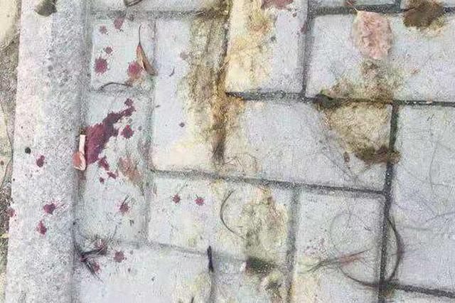 温州一女子在路口遭公公和丈夫暴打，当地妇联和公安介入