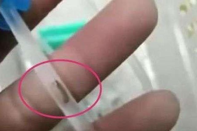 患儿输液管里发现虫子？！涉事医疗器械公司：正调查