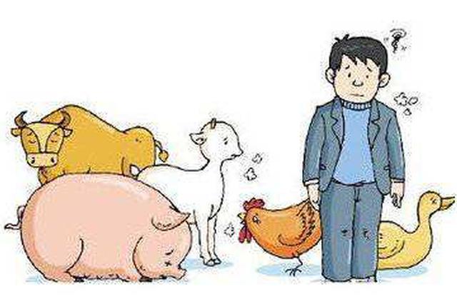 员工染布病，内蒙古一公司不认：先不承认劳动关系，后玩消失