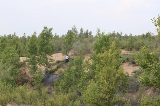 陕西榆林毁林建光伏电站追踪：还有哪些疑团待解？