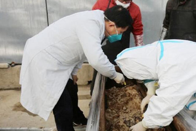 少见！扬州清代墓葬现完好丝织物、黄麻纸