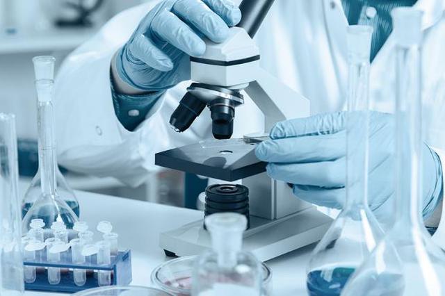 中国团队发现小分子药物：为恶性胶质瘤治疗防复发提供新思路