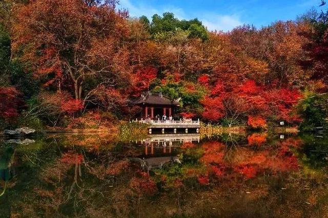 南京出台新政策聚力创新名城建设