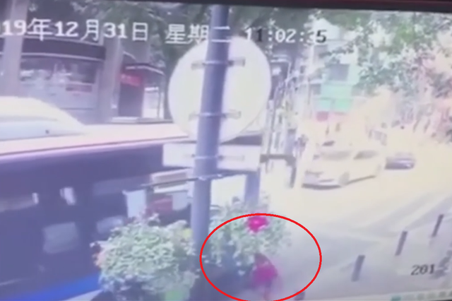 车刚启动她为何钻车底？ 公交公司：警方介入 老人被截肢